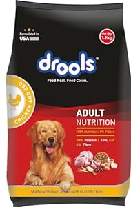 Drools Chicken-Egg Adult Dog Dry Food,1.2 Kg
