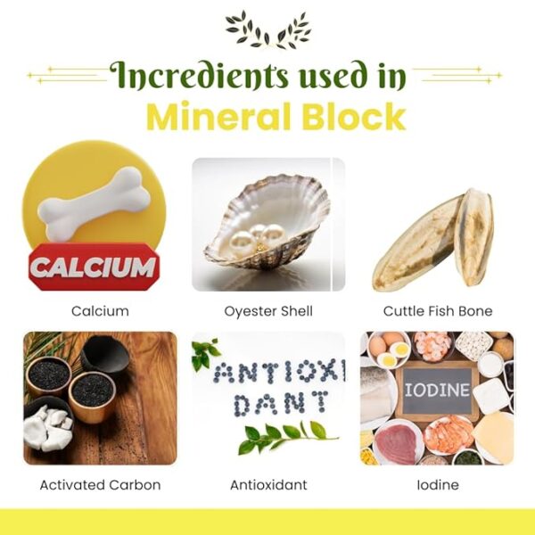 Birds Natural Calcium Mineral Tonic Block 12 Pcs - Image 2