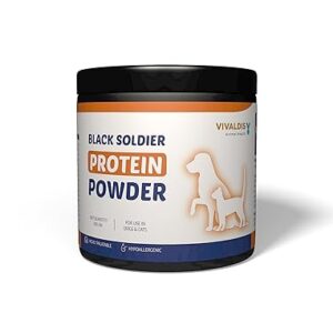 Black Soldier Protein Powder