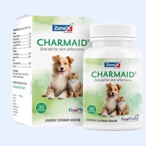 Charmaid 30 Capsule