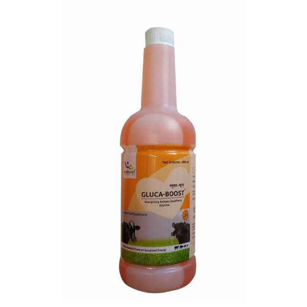 Gluca Boost 600ml