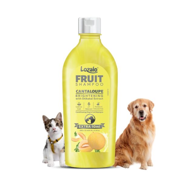 Lozalo Fruit Shampoo Cantaloupe 200+10ml