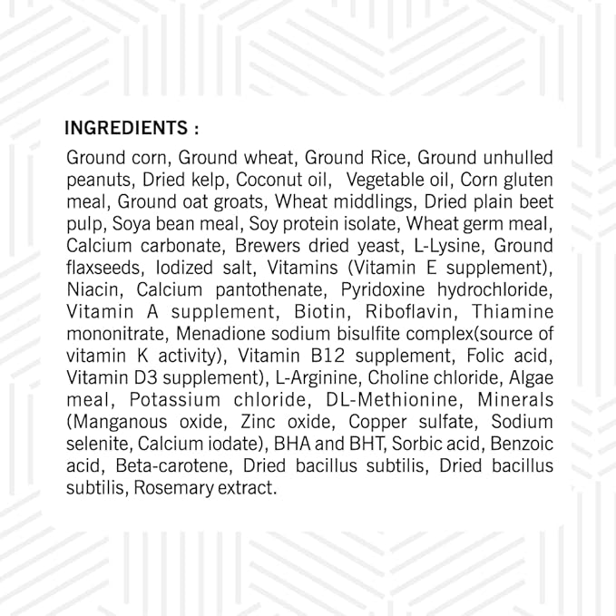 Hand Feeding Formula 250gm - Image 3