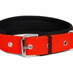 Dog Collar 20mm