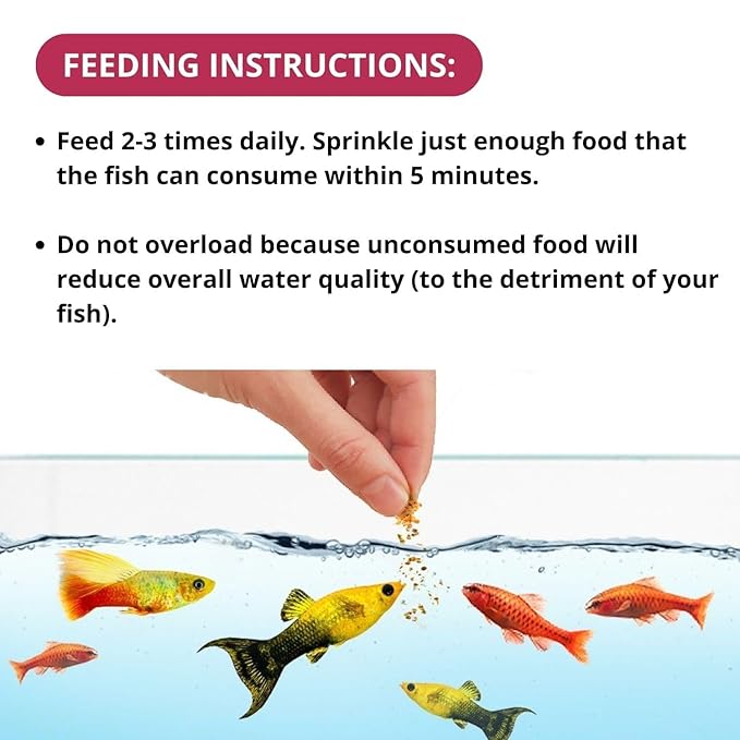 Optimum 100gm - Image 4