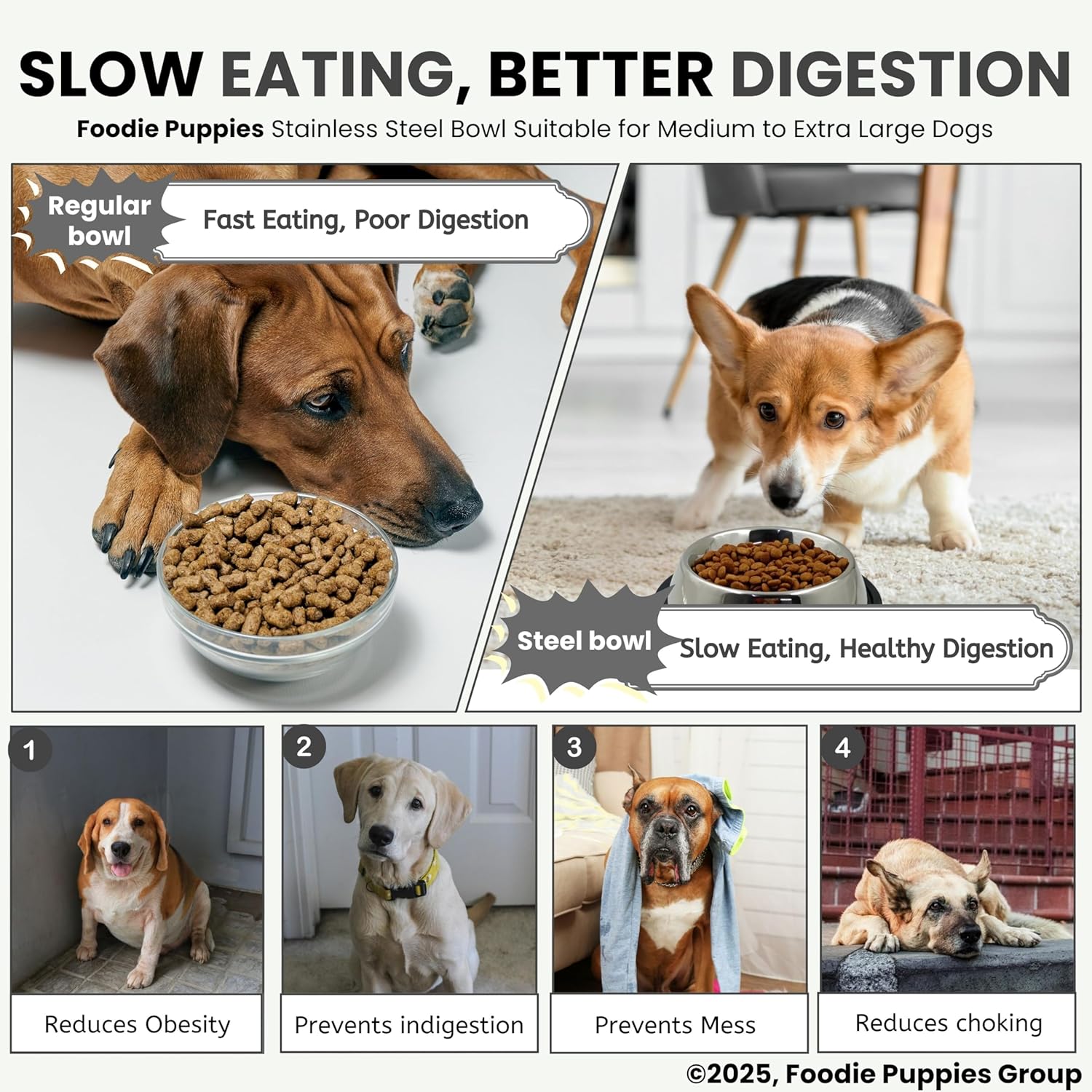 Steel feeding bowl - Image 5