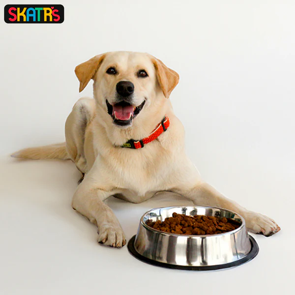 Steel feeding bowl - Image 3