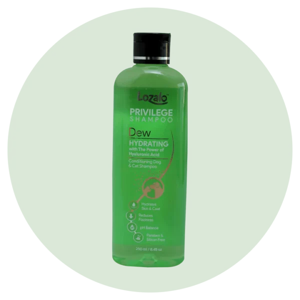 Lozalo Privilege Shampoo Dew 250ml
