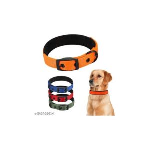 Dog Collar 20mm