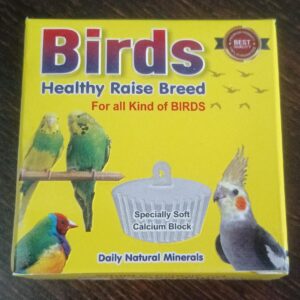 Birds healthy raise breed 60gm