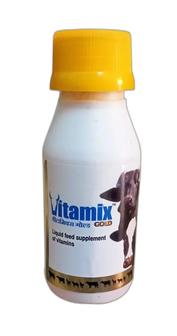 Vitamix Gold 60ml