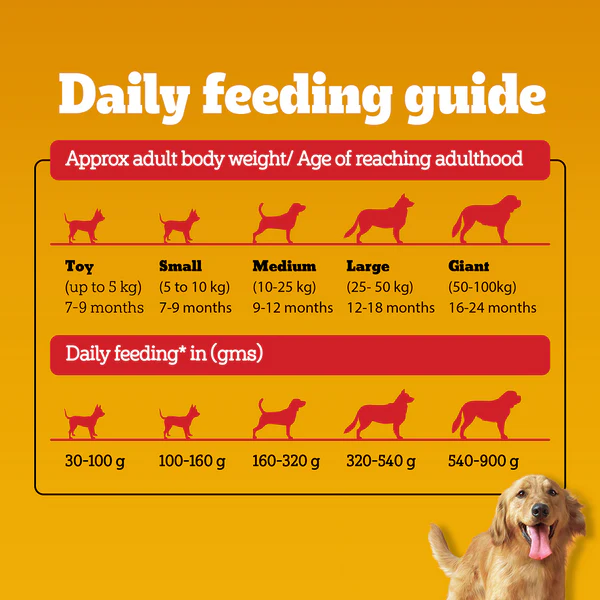 Pedigree Meat & Rice Adult Dog Dry Food - Image 6