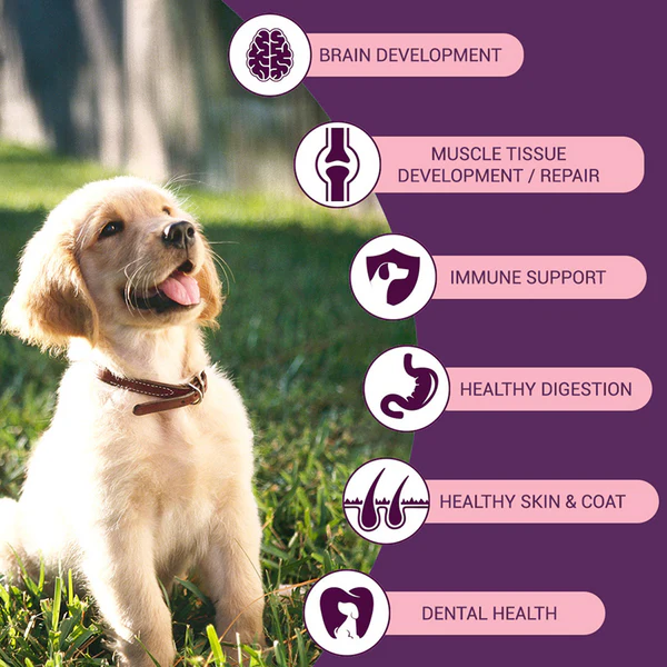 Bowlers Chicken and Milk Puppy Dog Food - Image 2