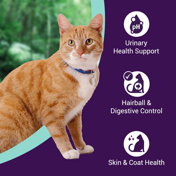 Purrfeto Chicken And Ocean Fish Adult Cat Dry Food - Image 2