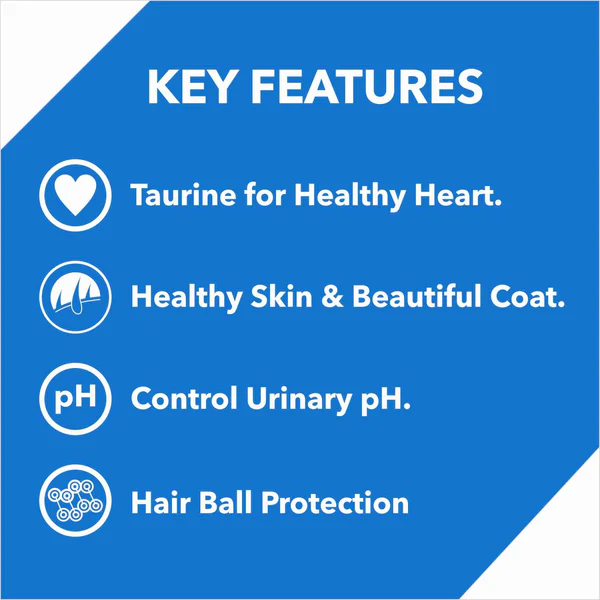 Drools Ocean Fish Adult Cat Dry Food - Image 2