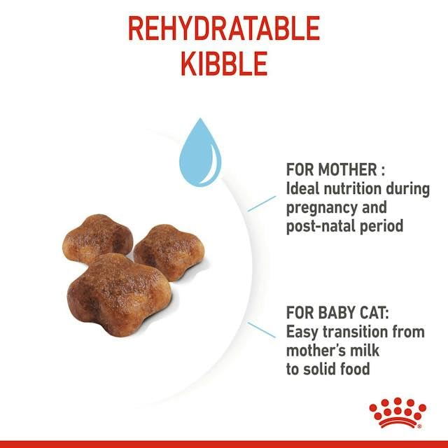 Royal Canin Mother And Baby Cat Dry Food - Image 3