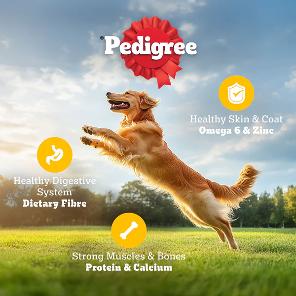 Pedigree Meat & Rice Adult Dog Dry Food - Image 3