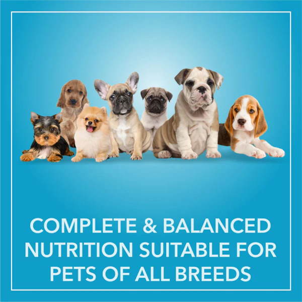 Purepet Chicken & Vegetable Puppy Dog Dry Food - Image 6