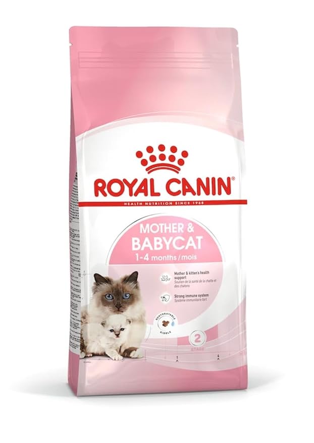 Royal Canin Mother And Baby Cat Dry Food