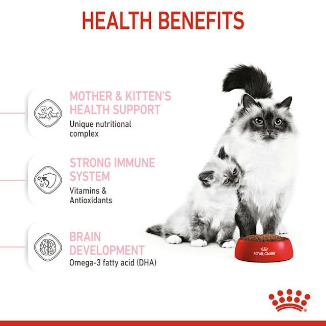 Royal Canin Mother And Baby Cat Dry Food - Image 2