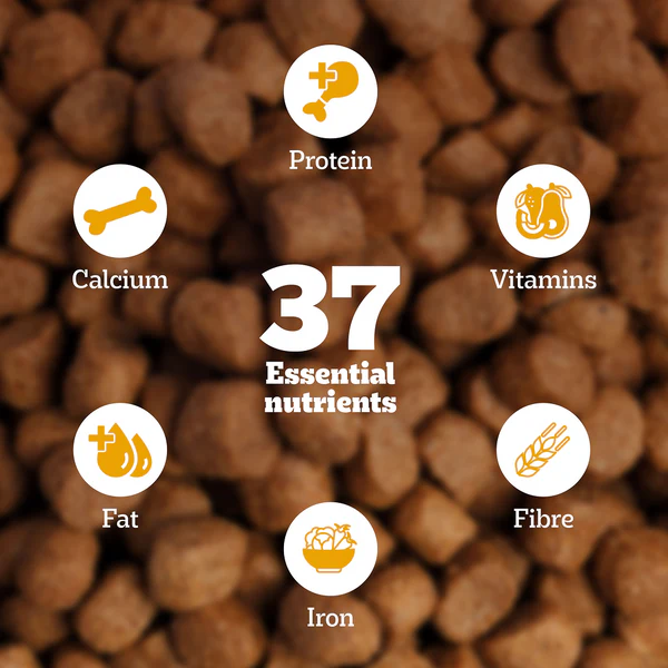 Pedigree Chicken and Vegetables Adult Dry Dog Food - Image 4