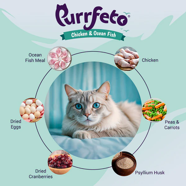 Purrfeto Chicken And Ocean Fish Adult Cat Dry Food - Image 3