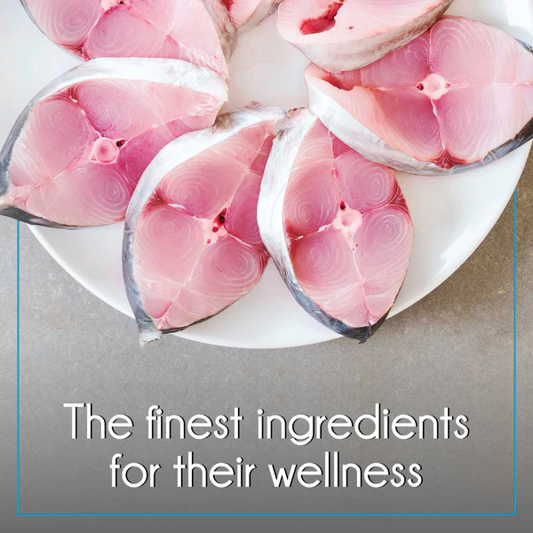 Purepet Ocean Fish Kitten Dry Food - Image 5