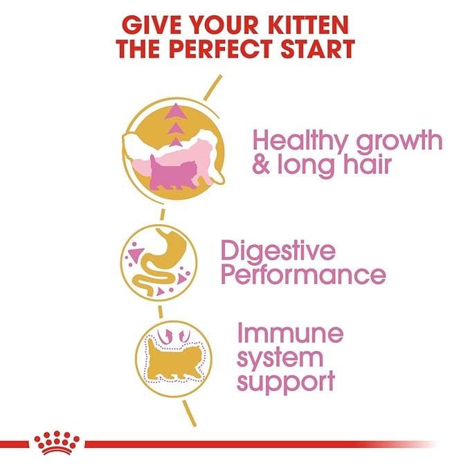 Royal Canin Persian Kitten - Image 2