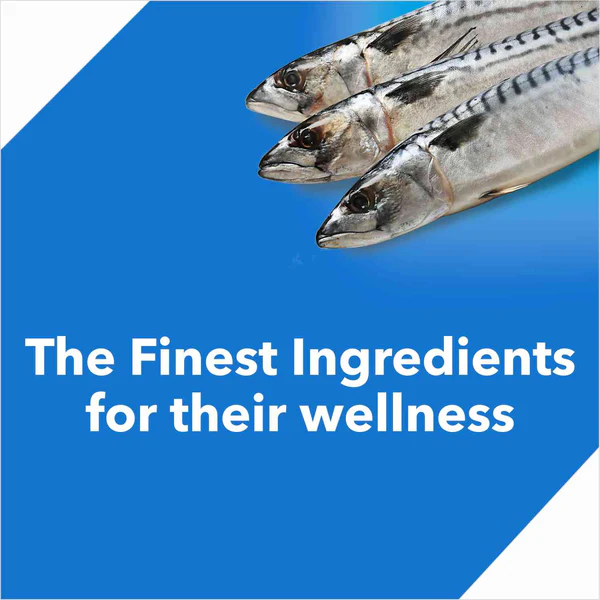 Drools Ocean Fish Adult Cat Dry Food - Image 3