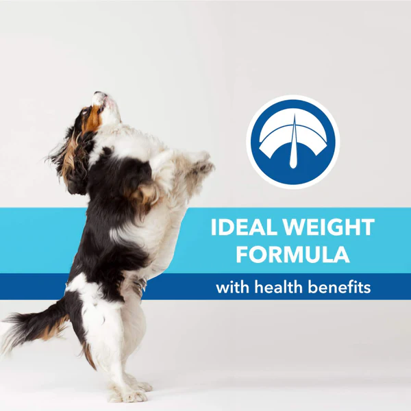 Purepet Chicken & Vegetable Puppy Dog Dry Food - Image 3