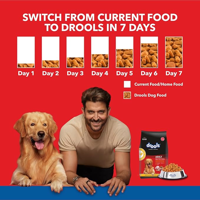 Drools Chicken and Egg Adult Dog Dry Food - Image 4