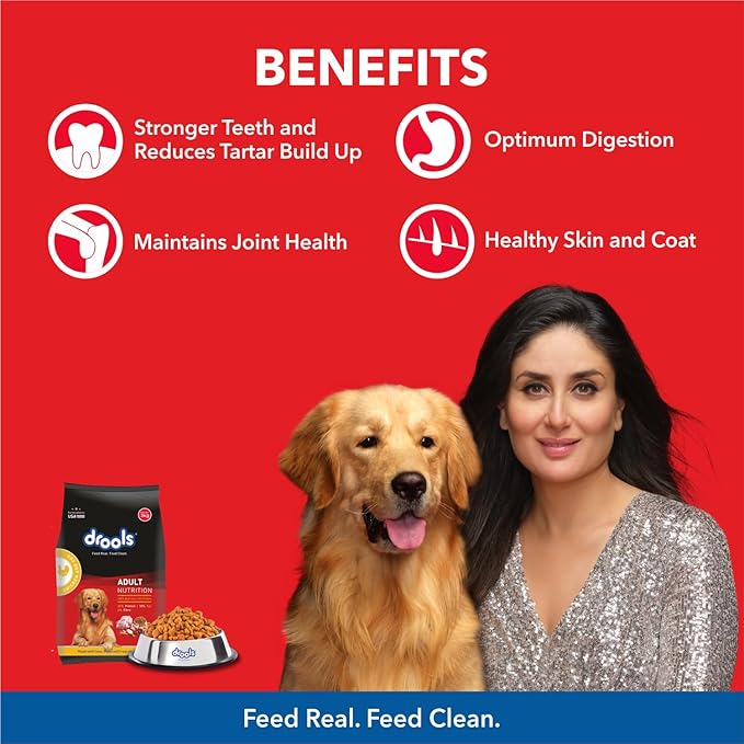 Drools Chicken and Egg Adult Dog Dry Food - Image 2