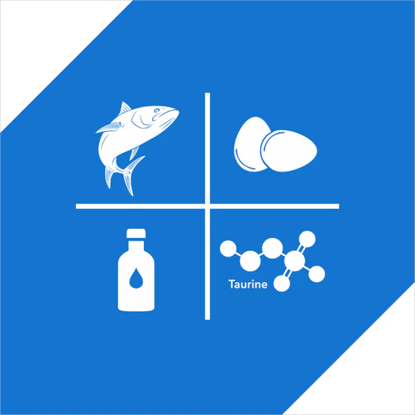 Drools Ocean Fish Adult Cat Dry Food - Image 4