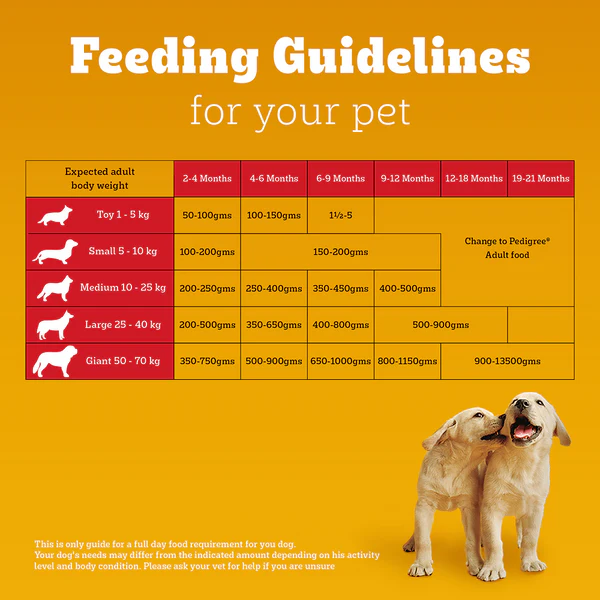 Pedigree Chicken and Milk Puppy Dog Dry Food - Image 5