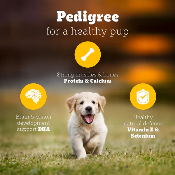 Pedigree Chicken and Milk Puppy Dog Dry Food - Image 2