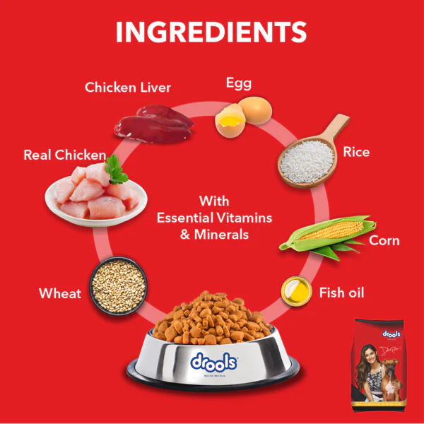 Drools Chicken and Egg Adult Dog Dry Food - Image 6