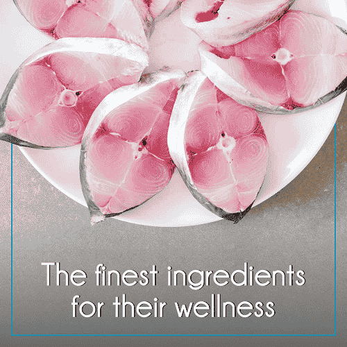 Purepet Ocean Fish Adult Cat Dry Food - Image 2