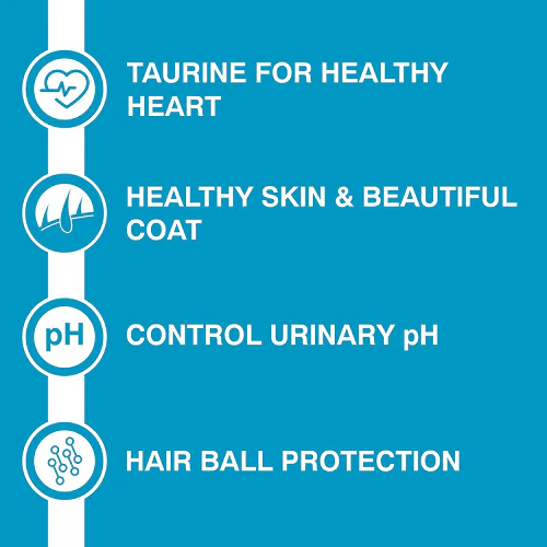 Purepet Ocean Fish Adult Cat Dry Food (Buy 1 Get 1 Free) - Image 4