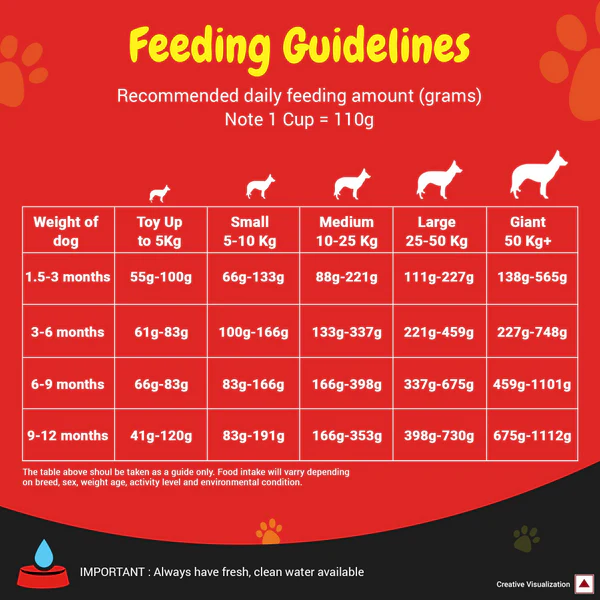 Purina Super Coat Puppy With Chicken Dry Food - Image 4