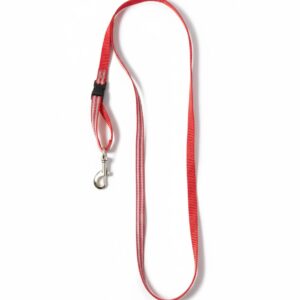 Adjustable Phosphorescent Leash